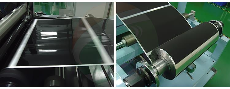 LFP Electrode