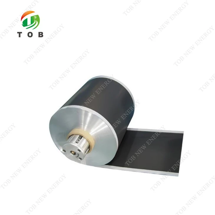 LFP Electrode